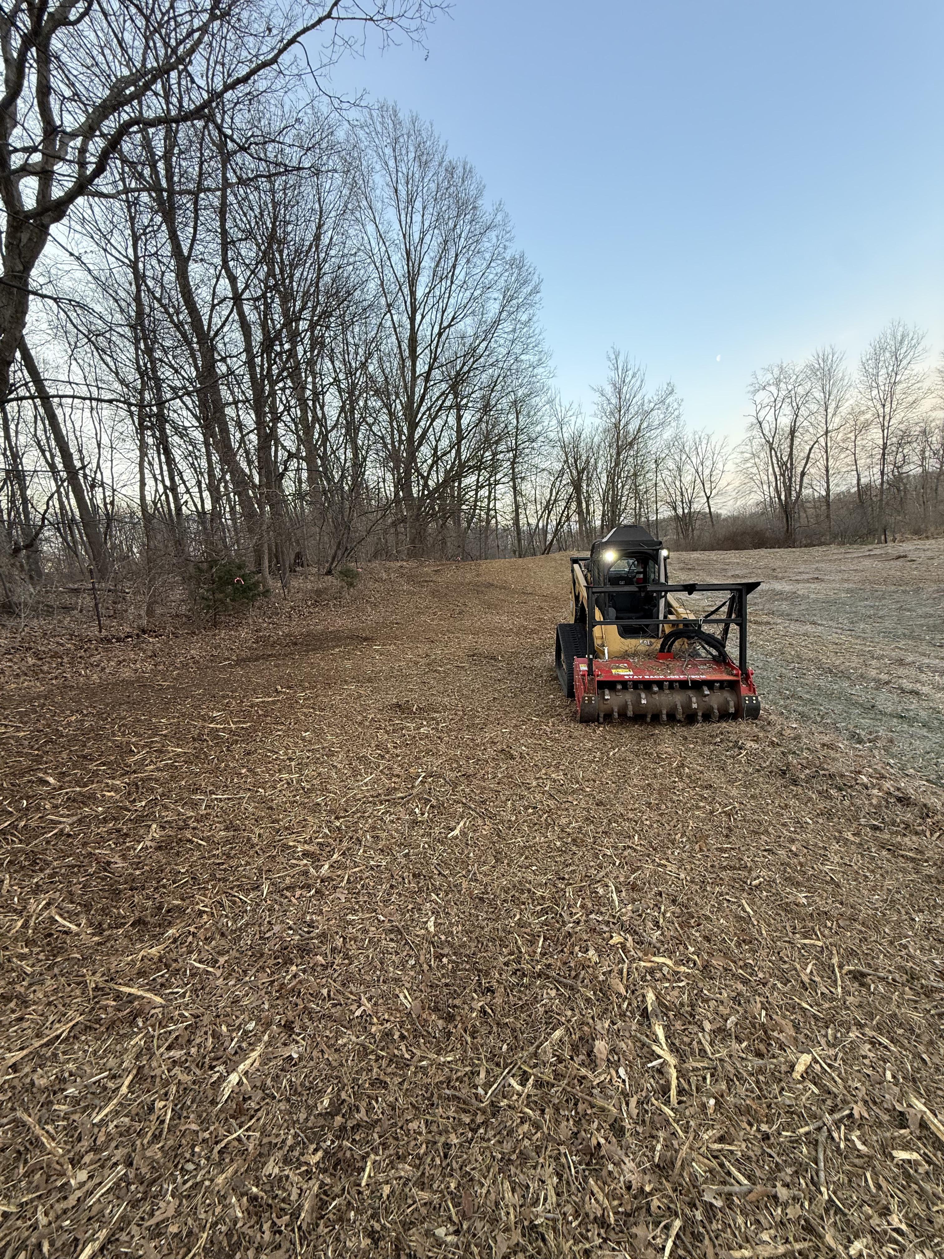 Forestry Mulching