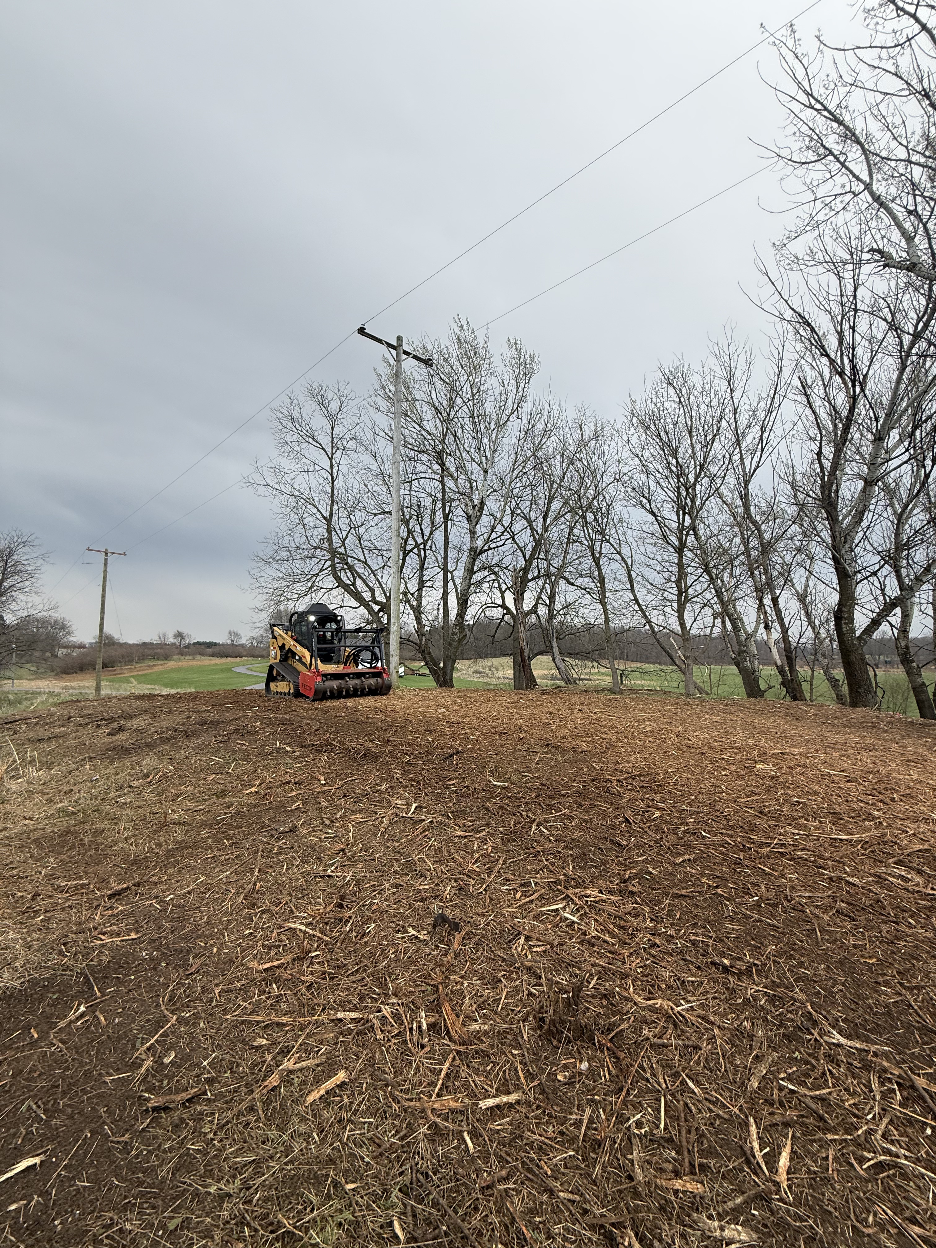 Completed forestry mulching work